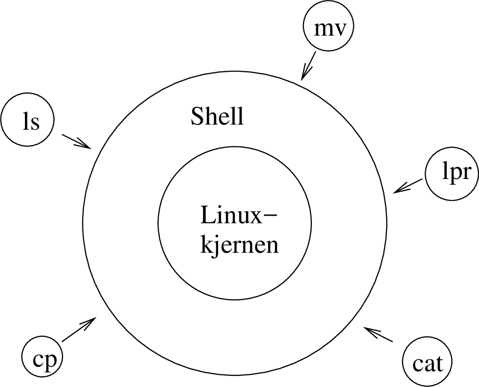 \includegraphics[width=10cm]{unixFig/shell.eps}