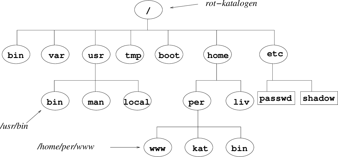 \includegraphics[width=12cm]{unixFig/filstruktur.eps}