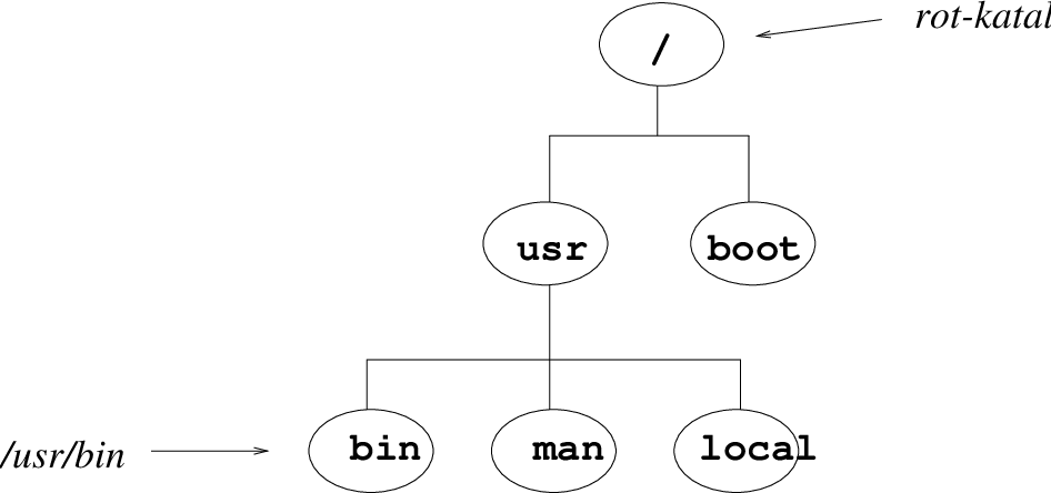 \includegraphics[width=10cm]{unixFig/usrbin.eps}