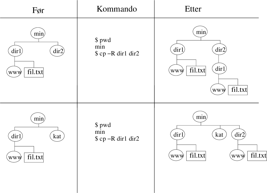 \includegraphics[width=12cm]{unixFig/cp.eps}
